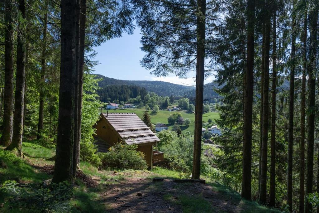 Charmant Chalet Cosy & Paisible En Pleine Nature - Refuge Idyllique Pour 5P Gérardmer Extérieur photo